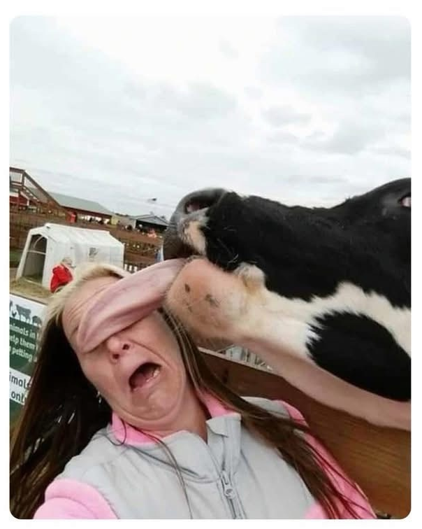 1757797915156.png