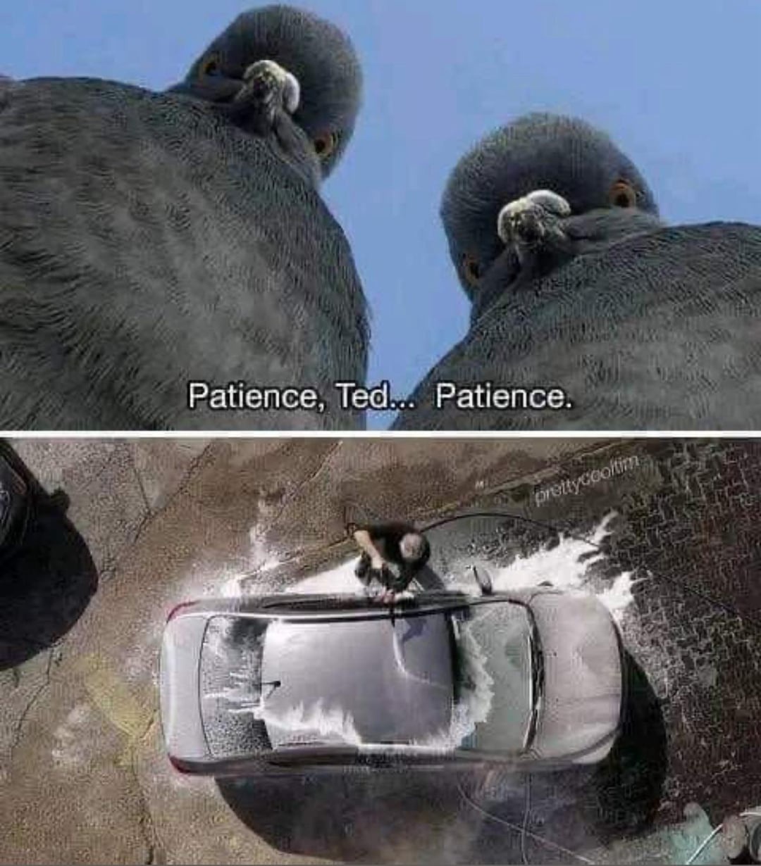 1758049793542.jpeg