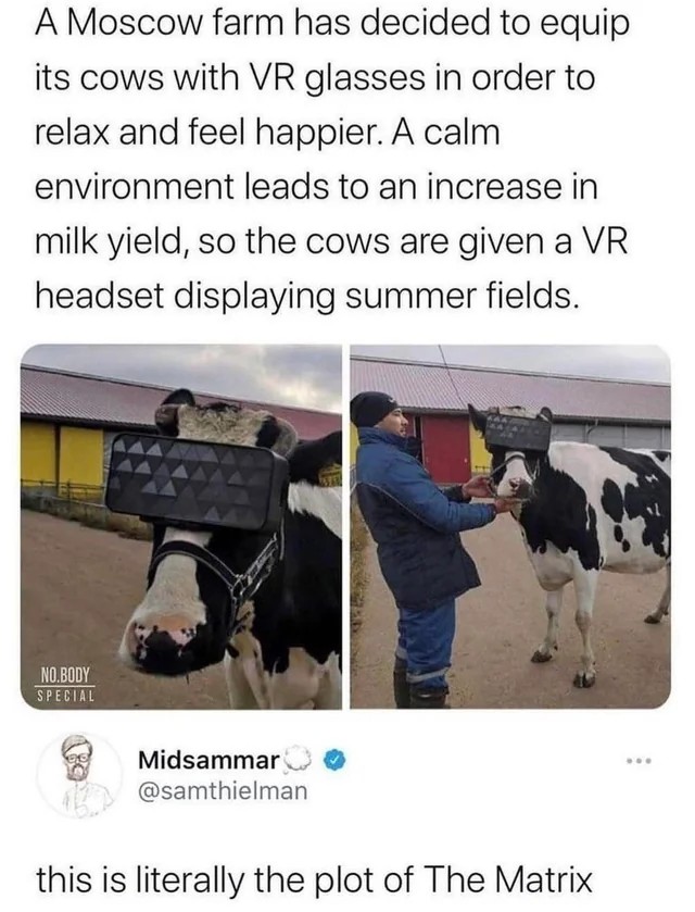 1758384038735.jpeg