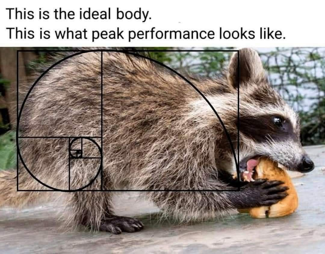 1758504890954.png