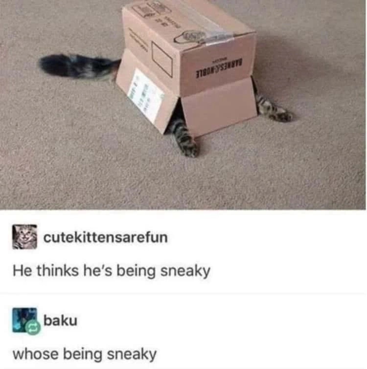 1758601552844.jpeg