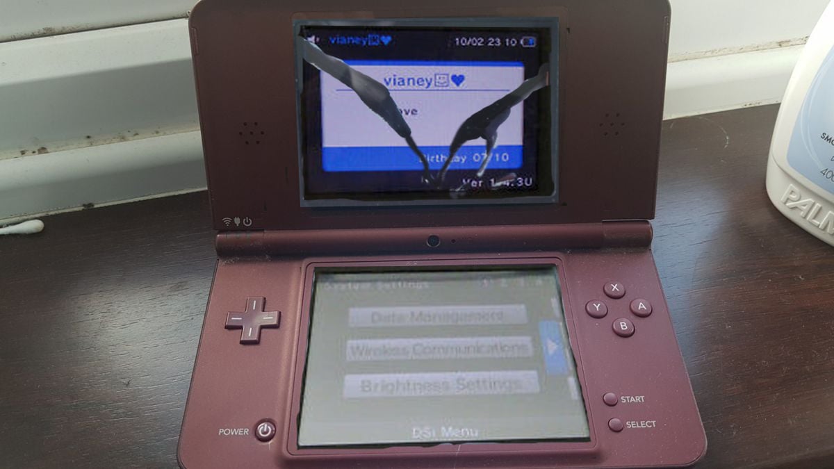 Nintendo DSi System Version 1.5 released, patches Flipnote Lenny and Memory  Pit completely | Page 3 | GBAtemp.net - The Independent Video Game Community