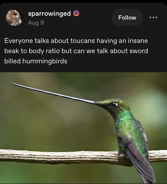 1759022610761.png