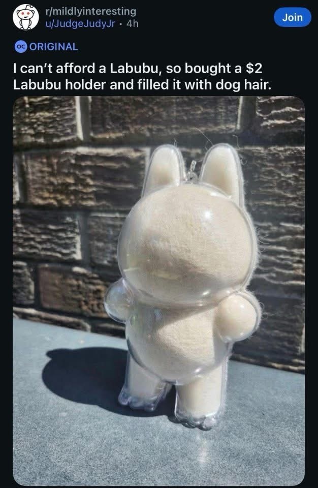 1759076565349.jpeg