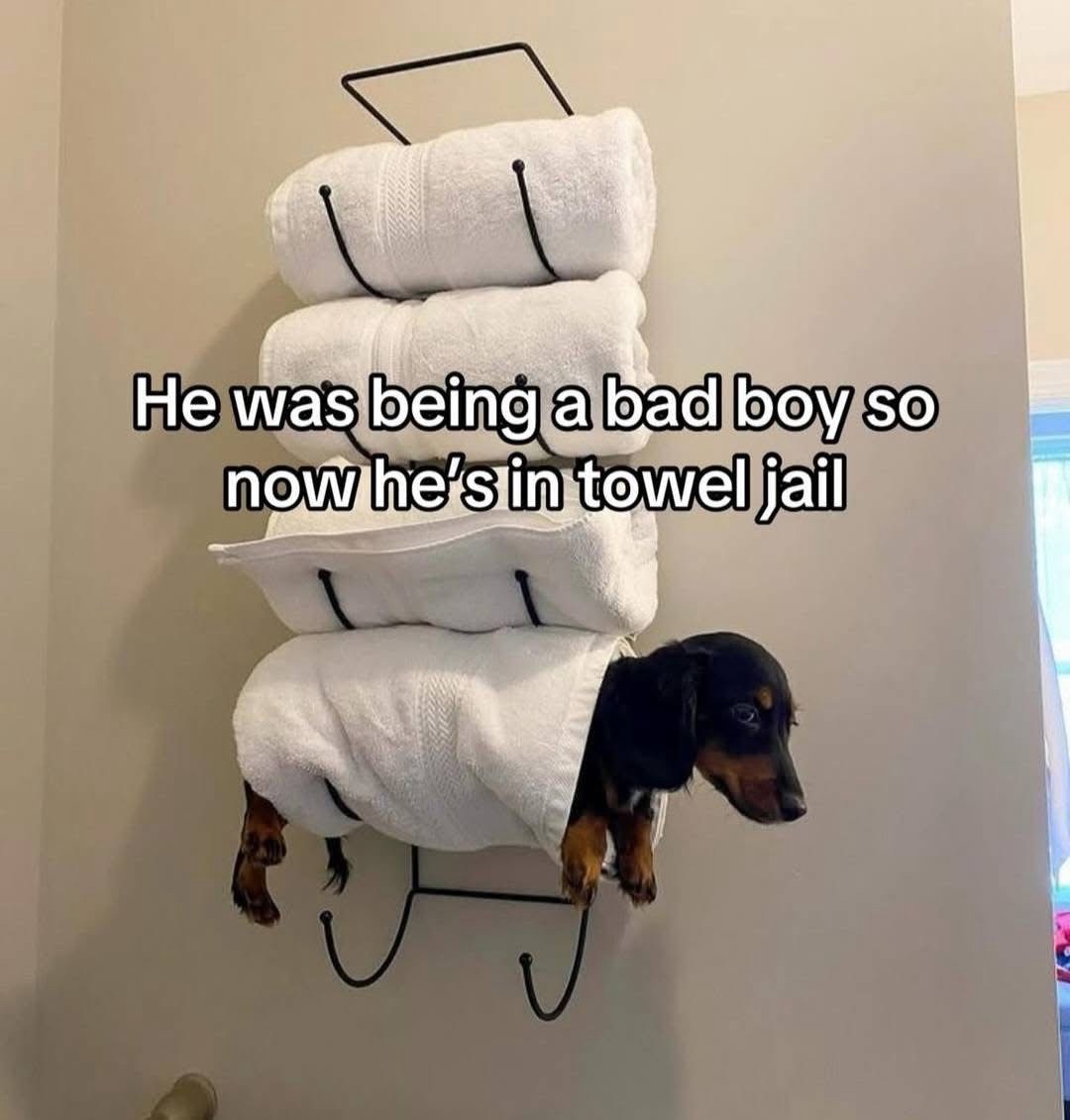 1759242230046.jpeg