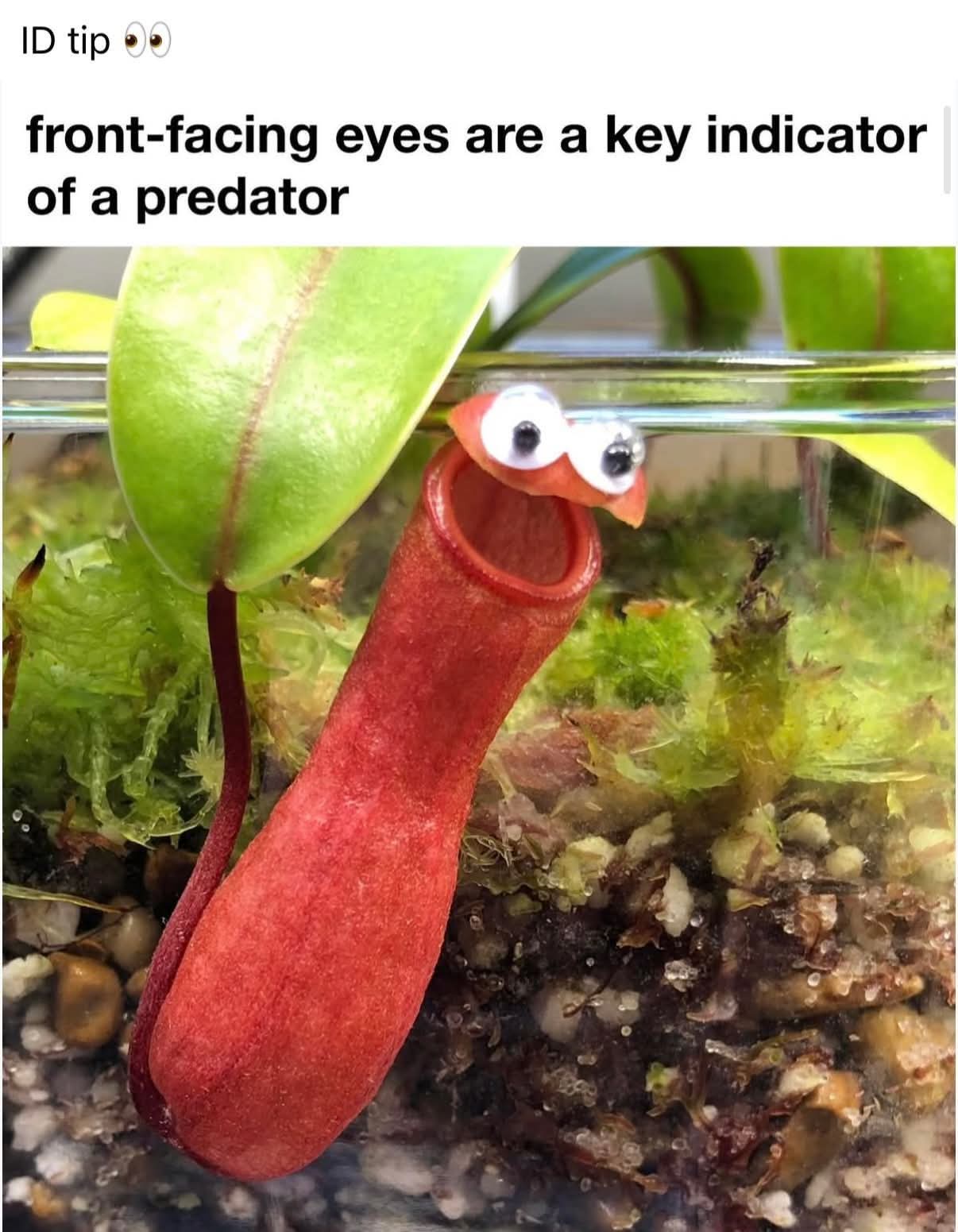 1759244406860.jpeg