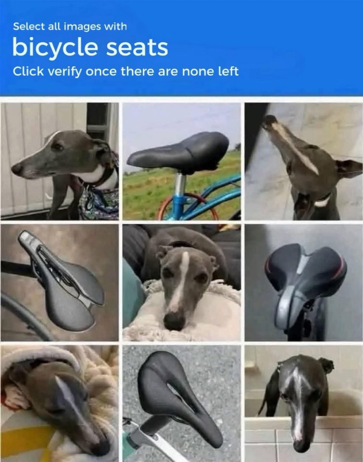 1759247770803.jpeg