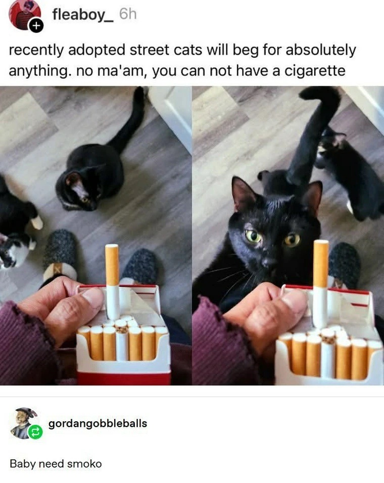 1759418633711.jpeg