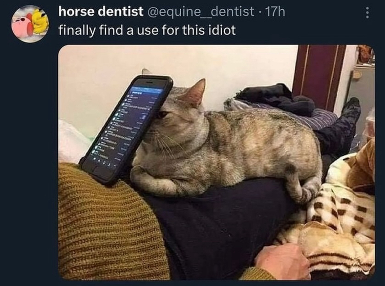 1759446877366.png