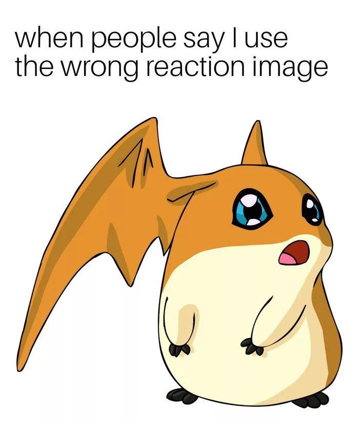 1759472524306.jpeg