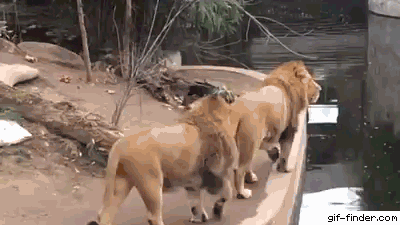 1759520019963.gif