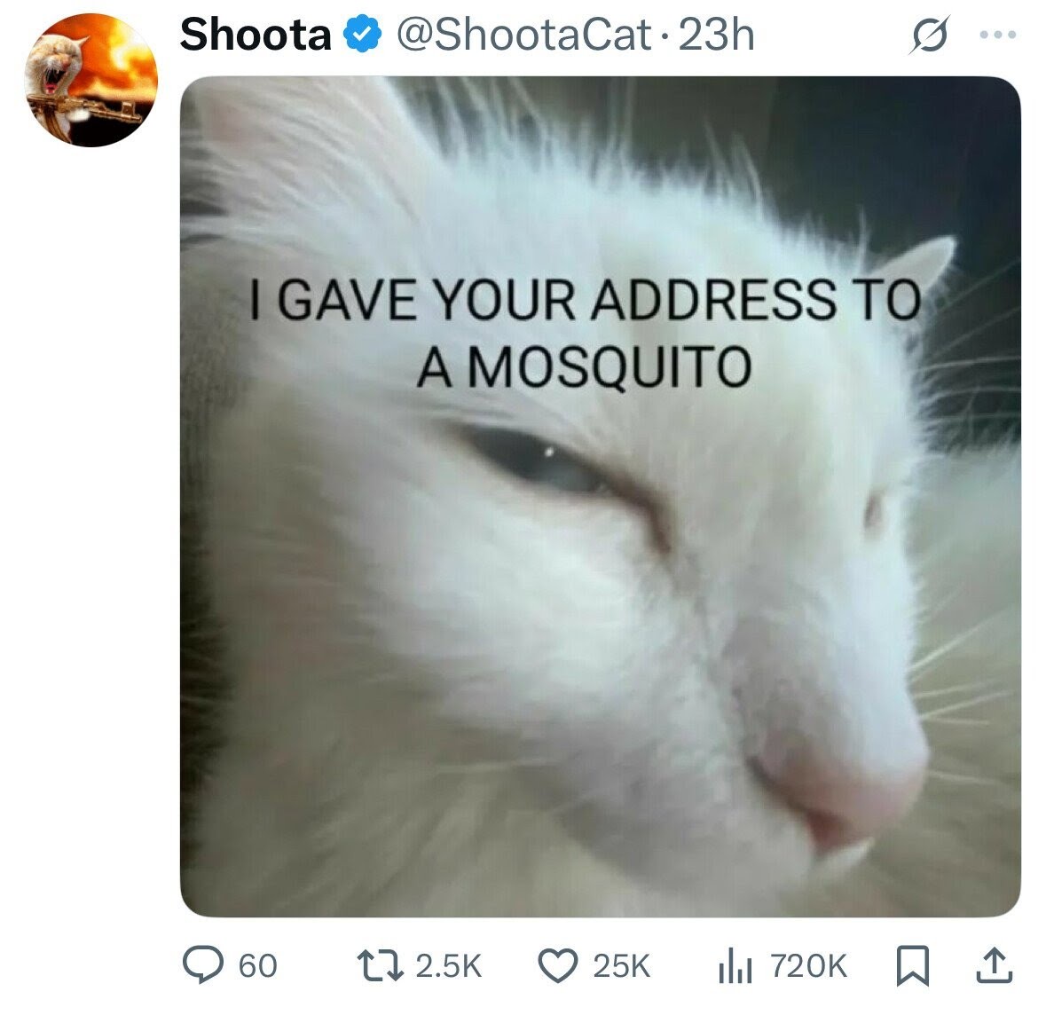 1759761480061.jpeg