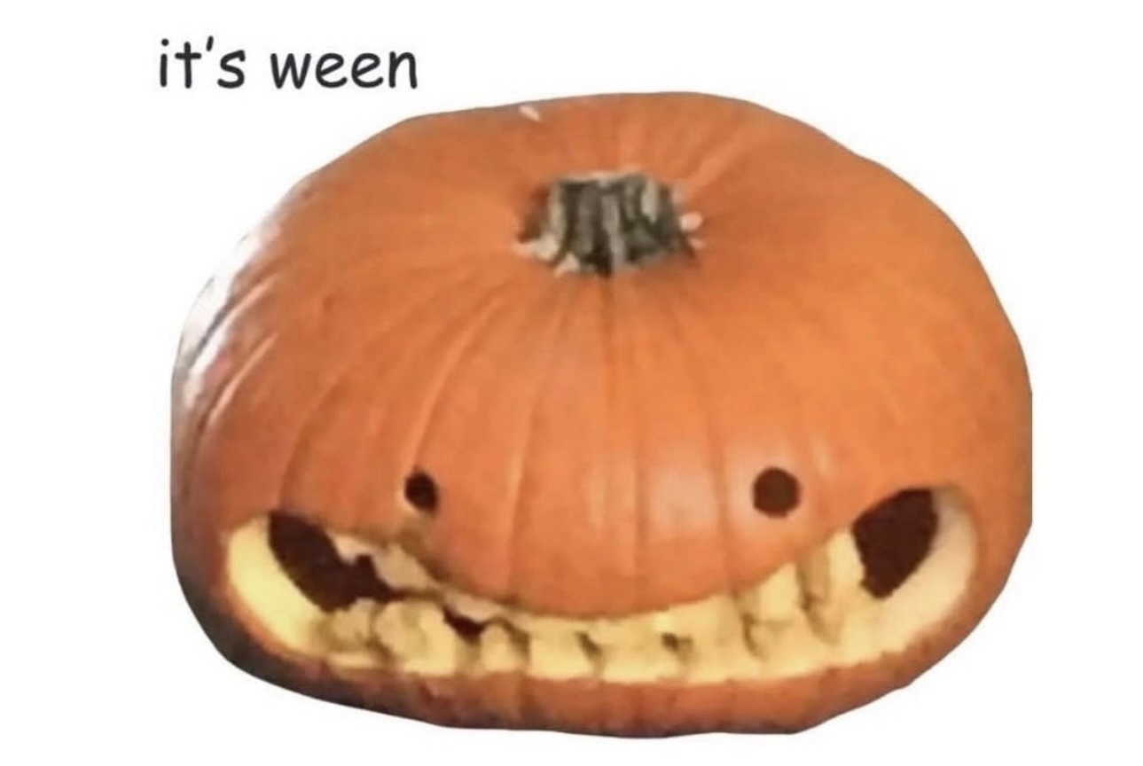 1759812793769.jpeg