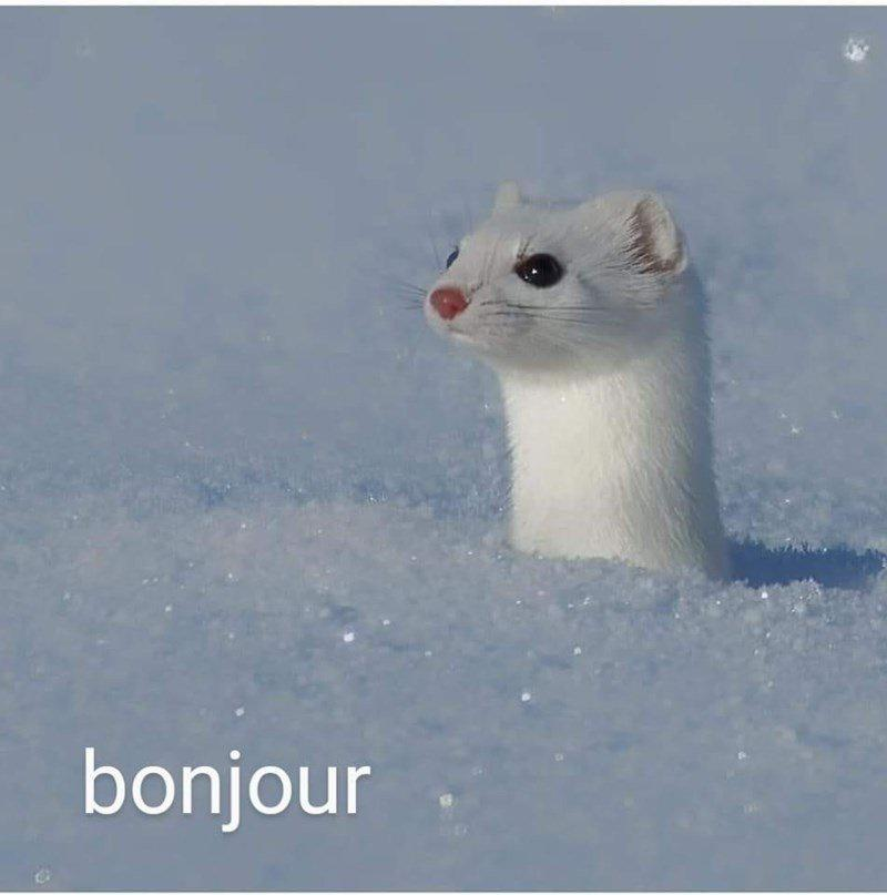 1760223615920.png
