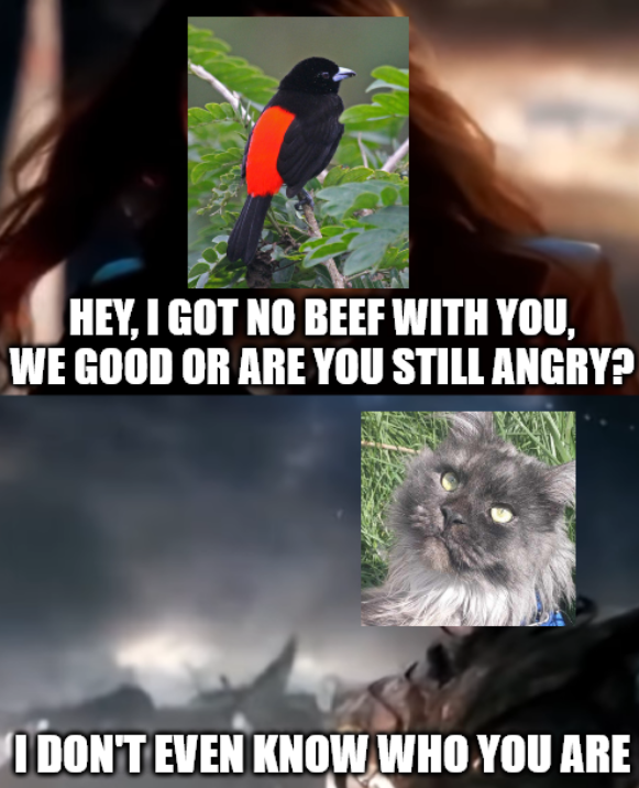 1760276580764.png