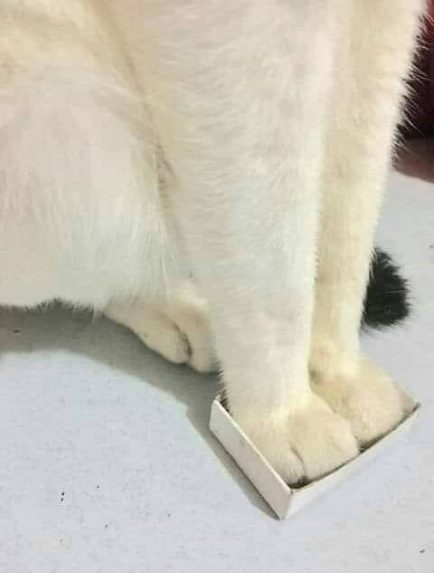 1760708617234.jpeg