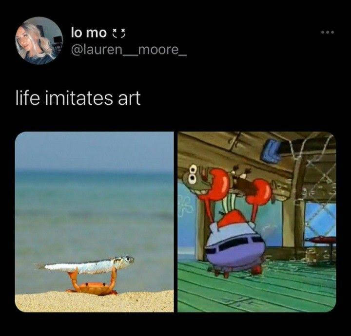 1760998628582.jpeg