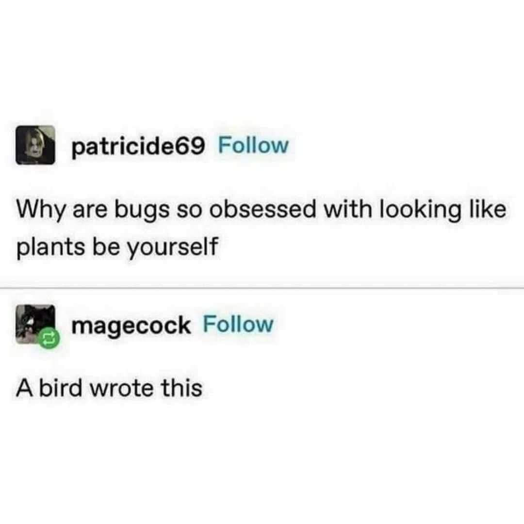 1761537008214.png
