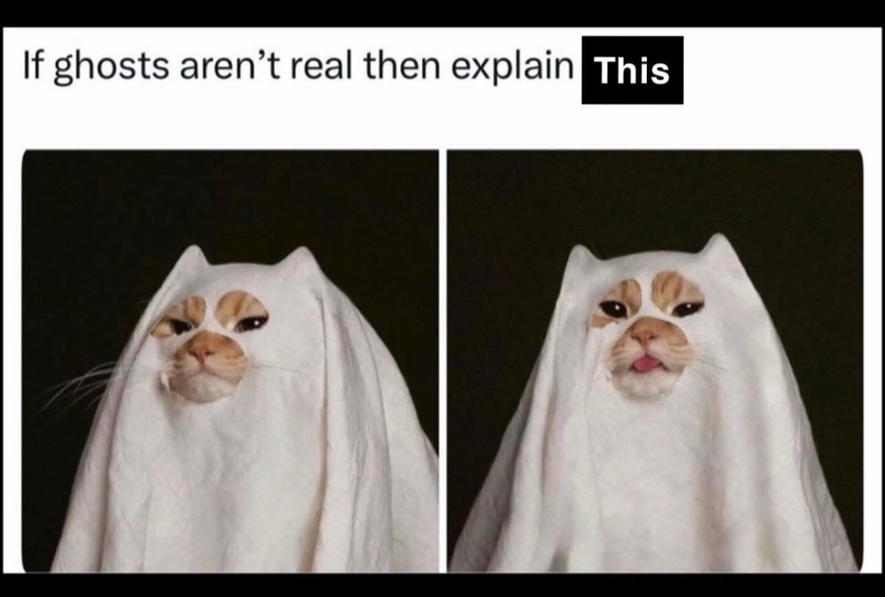 1761660584164.jpeg