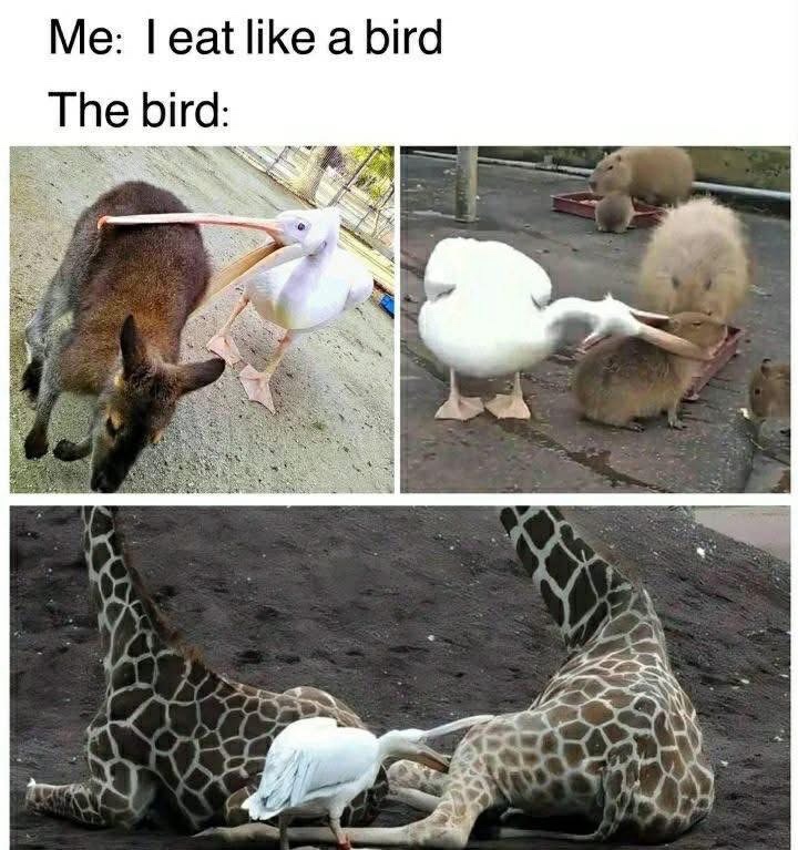 1761838876886.jpeg