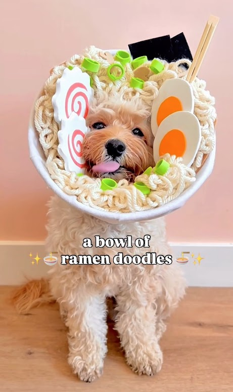 1762034374109.png
