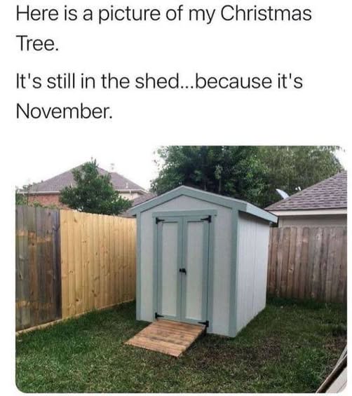 1762128292214.jpeg