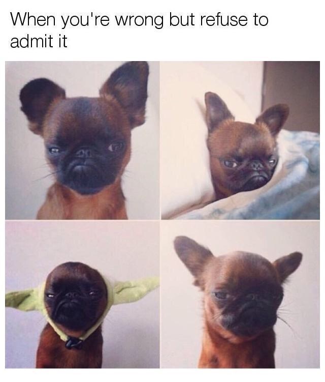 1762235982801.jpeg