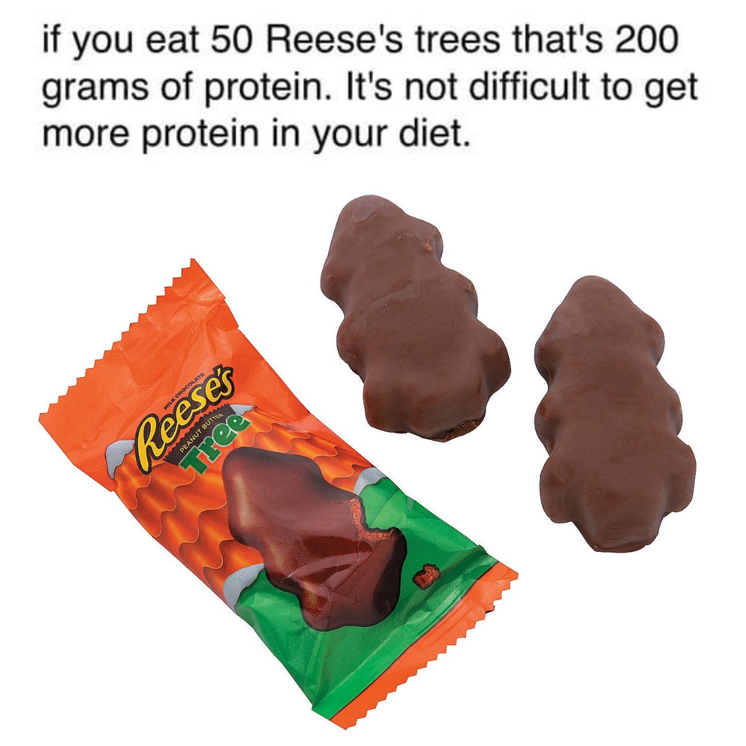 1762286040827.jpeg