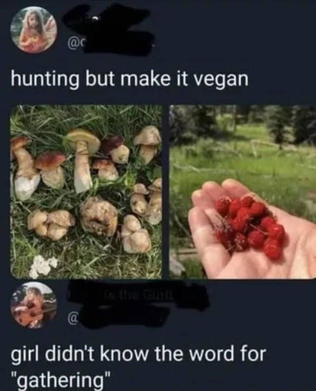 1762362790759.jpeg