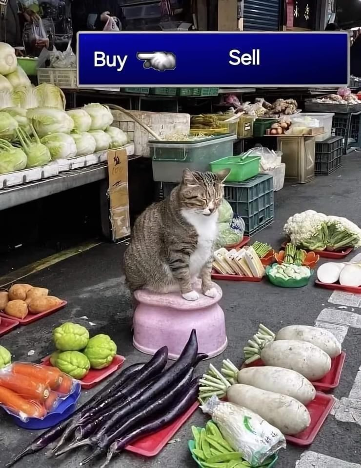 1762483015375.png
