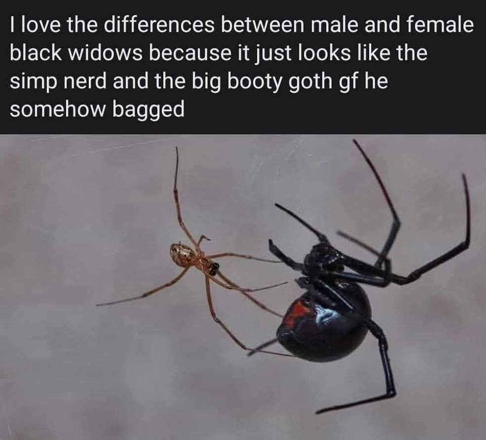 1762562570305.png