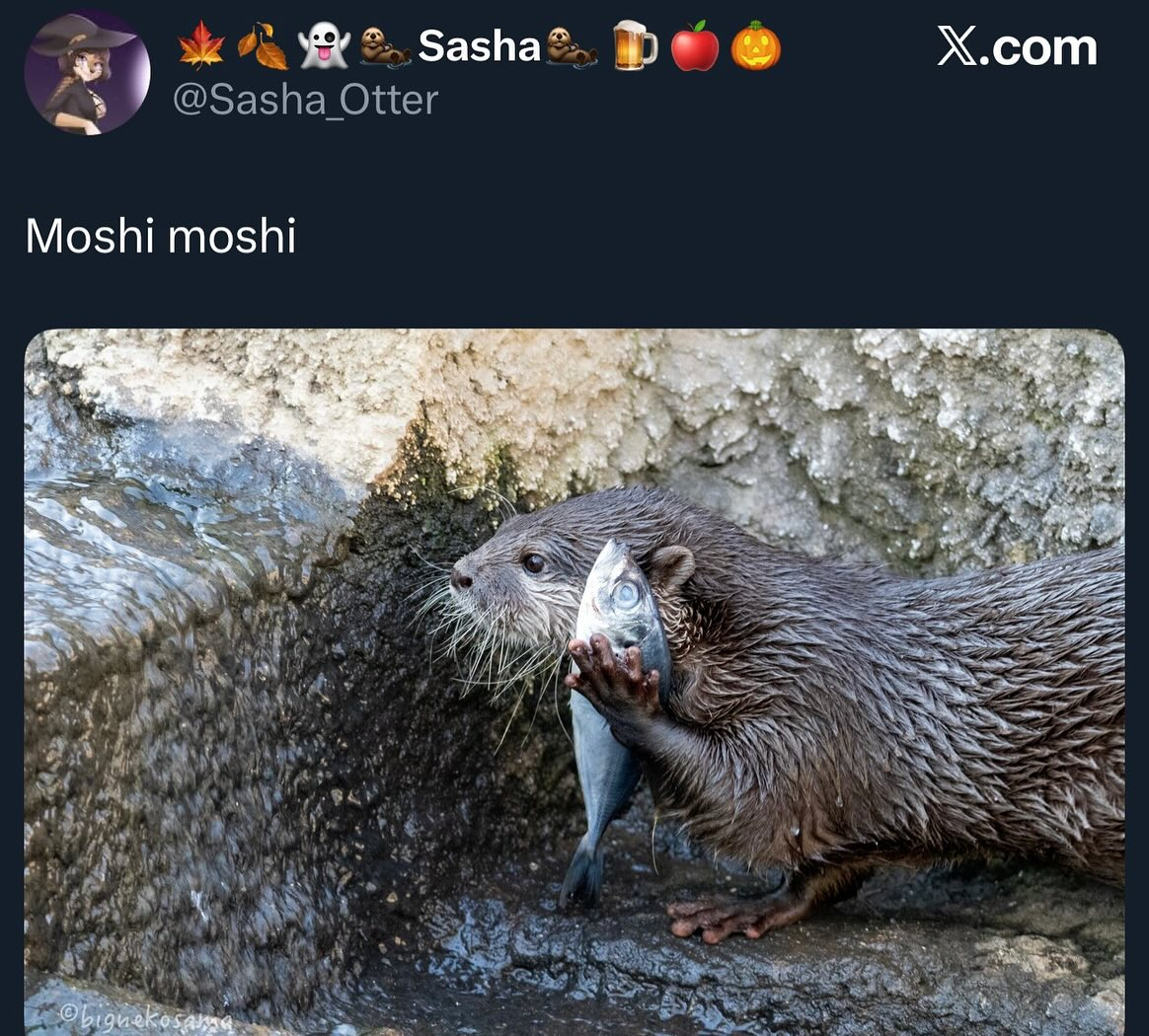 1762740088864.png