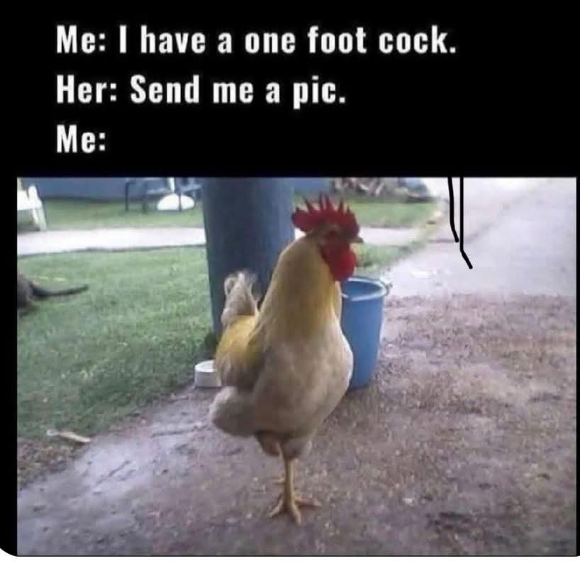 1762790955752.jpeg