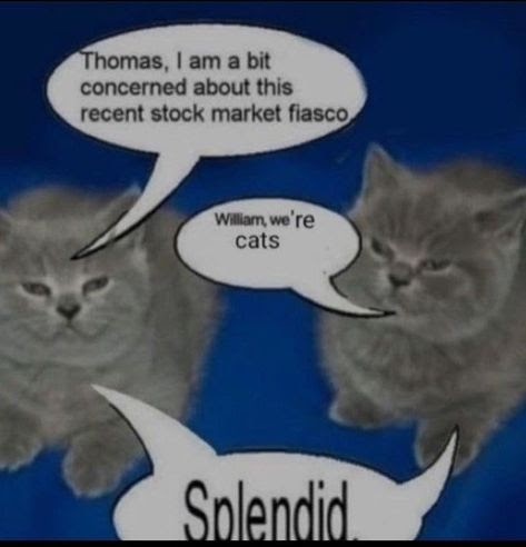 1762890079253.jpeg