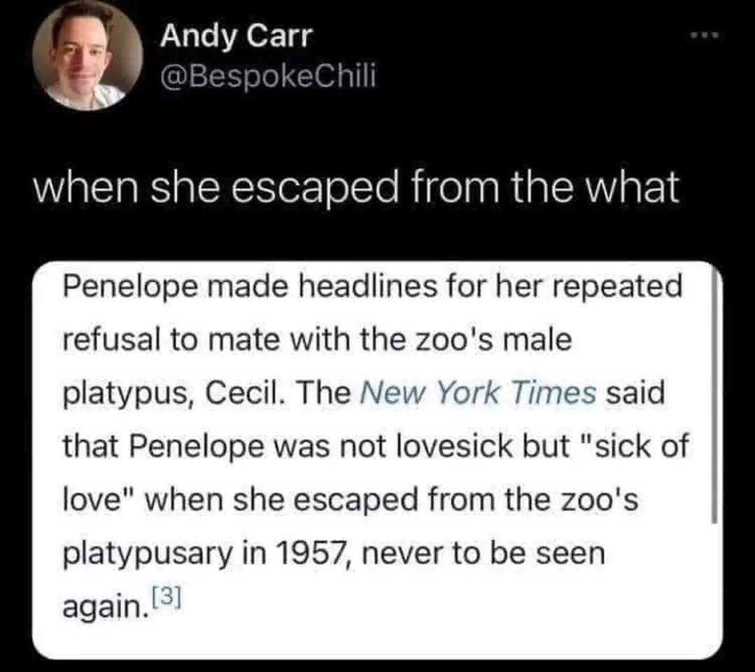 1763132584227.jpeg