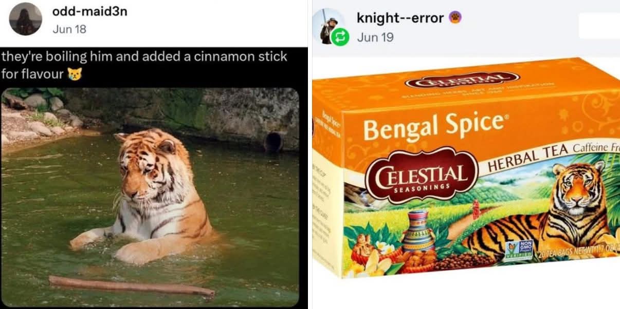 1763136845528.jpeg