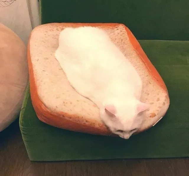 1763277487214.png