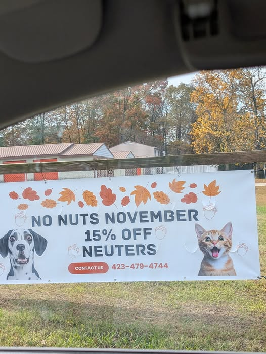 1763285219368.png
