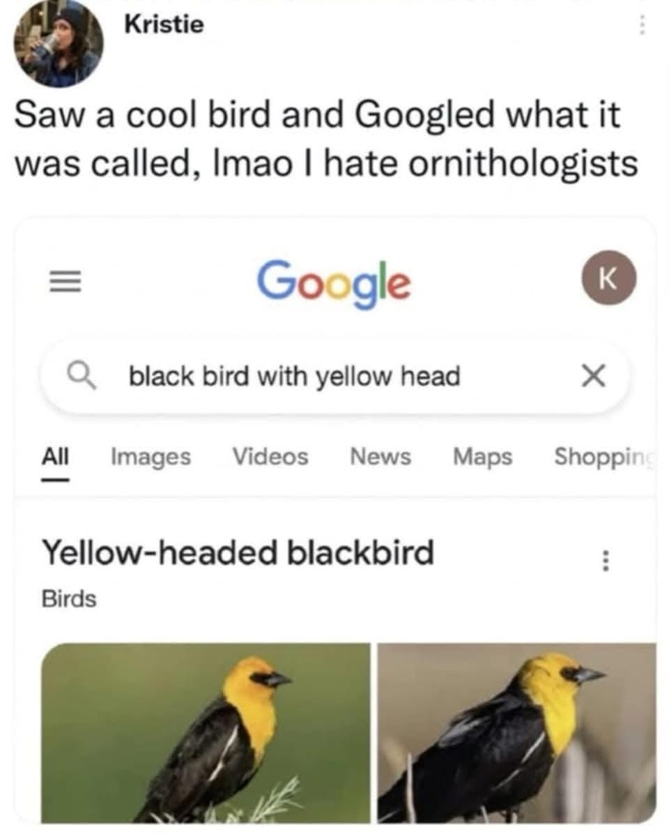 1763481687854.jpeg