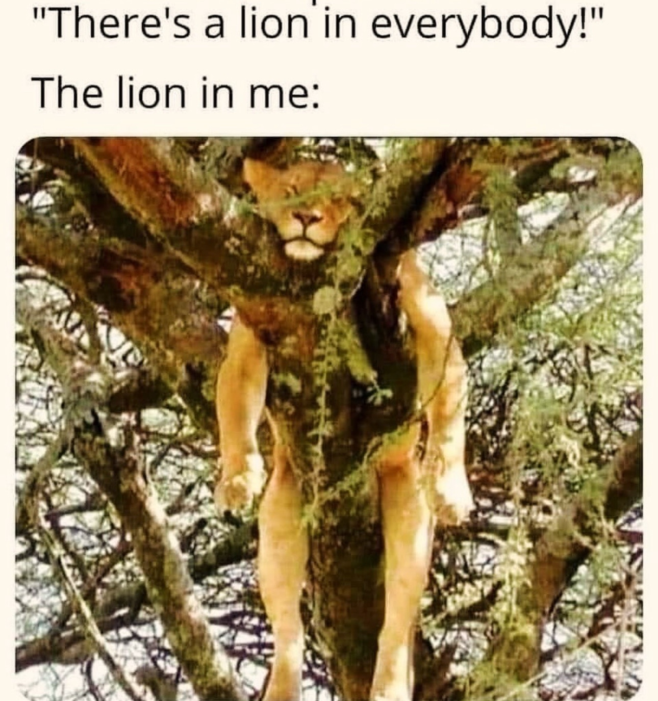 1763501575267.jpeg