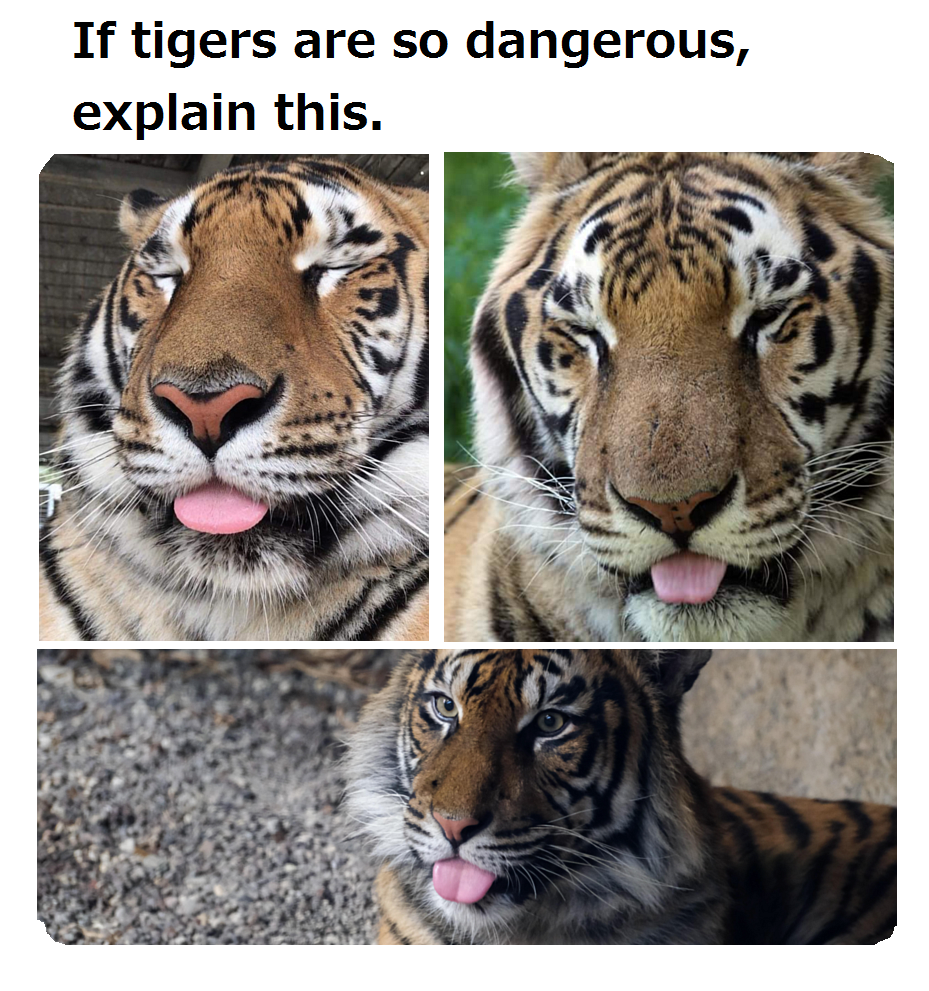 1763539560692.png
