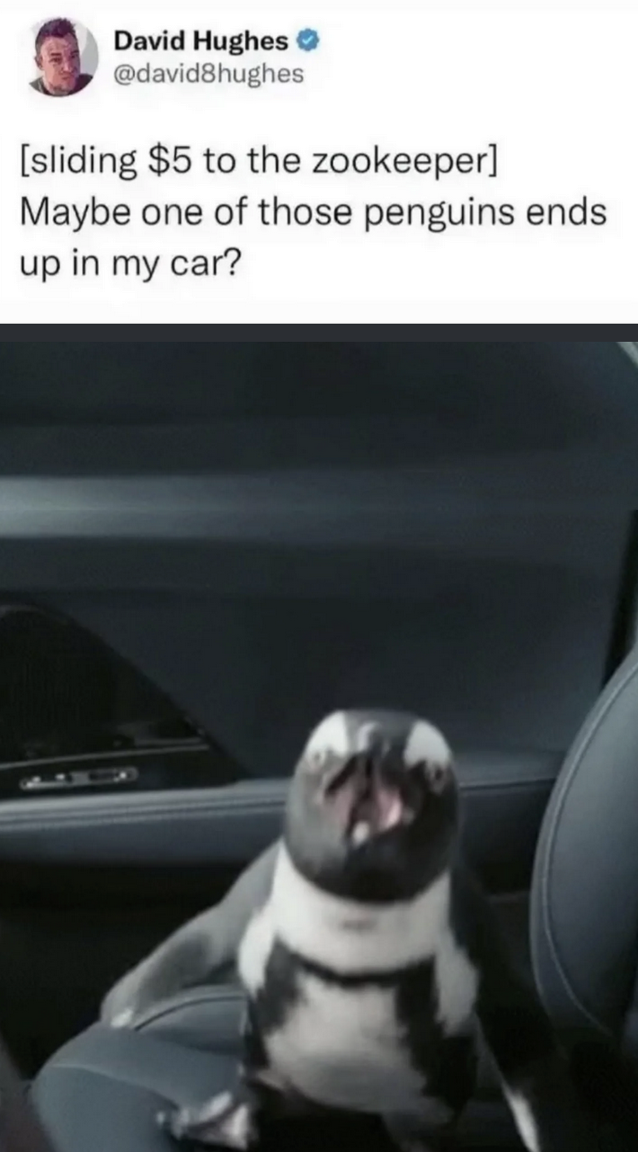 1763624172636.png