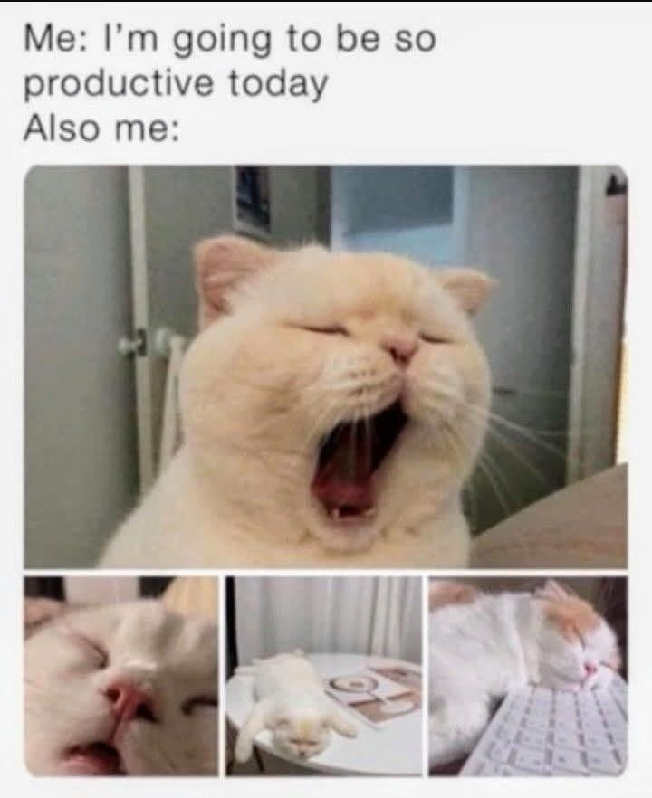 1763644092867.png