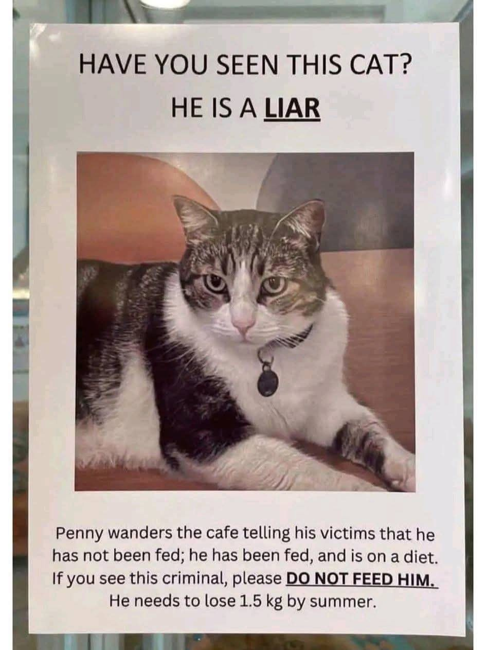 1763712724581.png