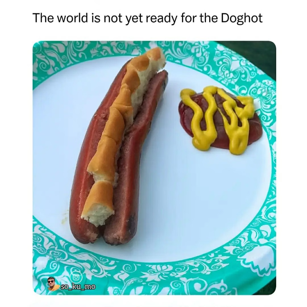 1763762539091.png