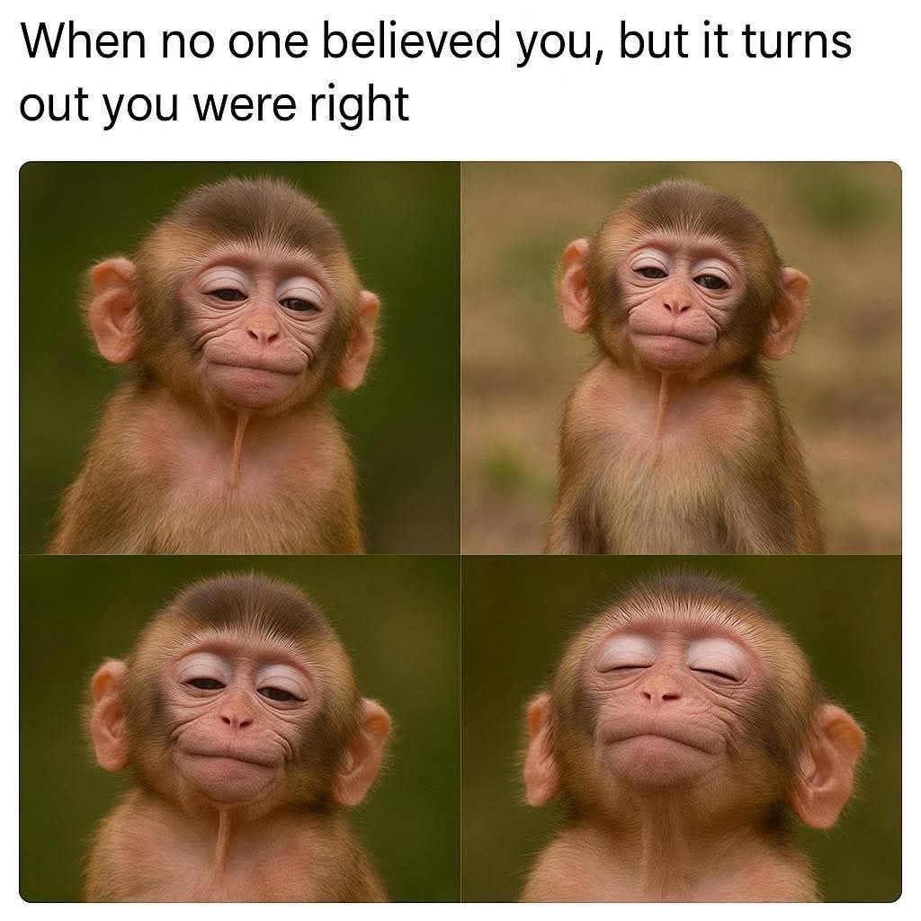 1764014966005.jpeg
