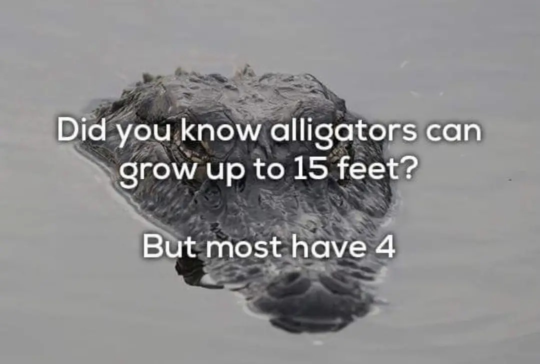 1764154118982.jpeg