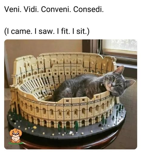 1764164530735.png