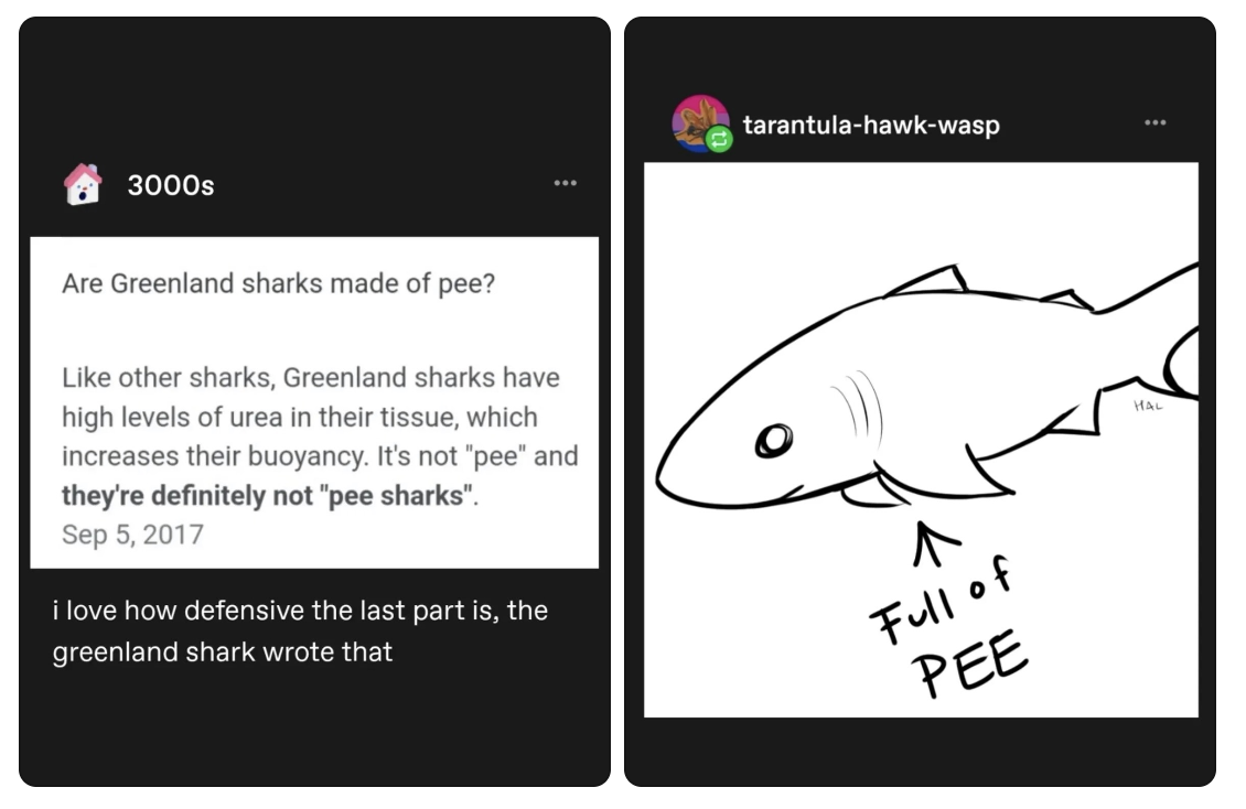 1764327435122.png