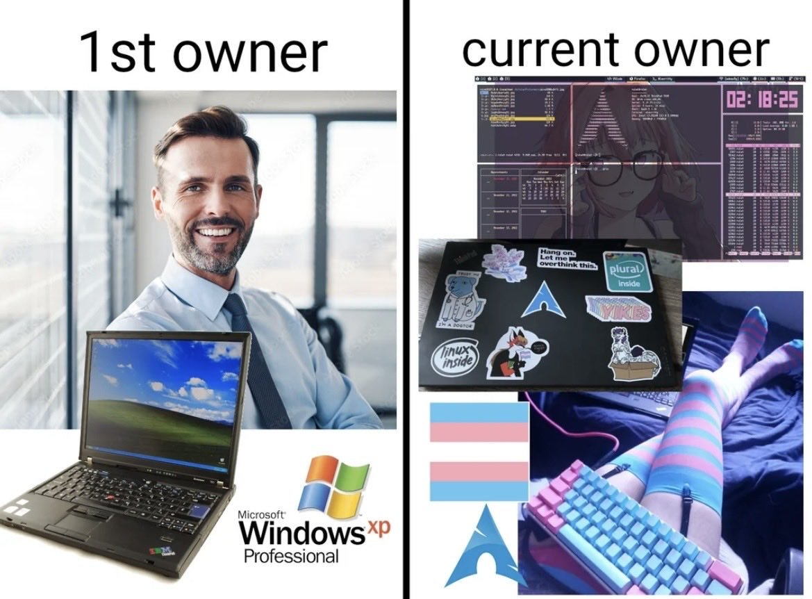 1764353029222.png